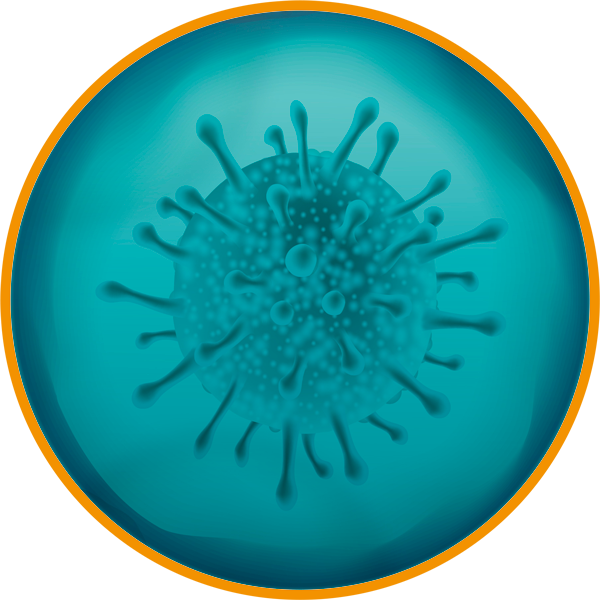 Darstellung des Corona Virus